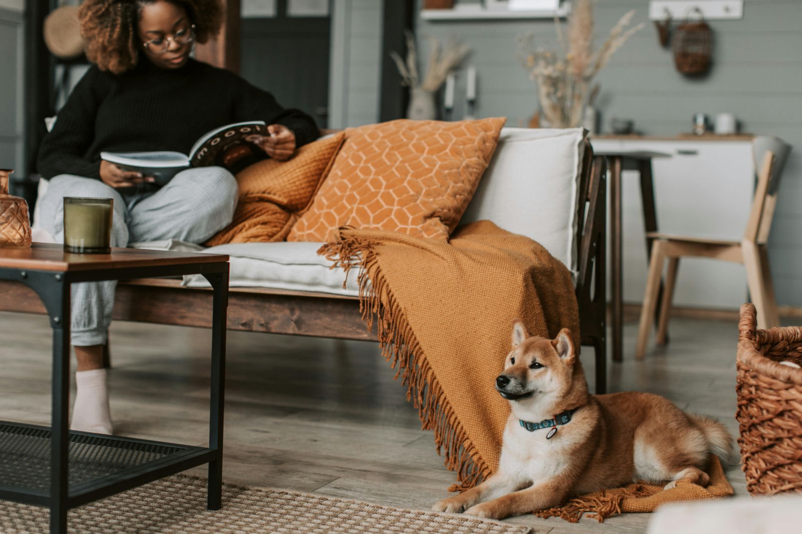 Dogs are symbols of loyalty and protection, and their presence itself indicates good luck and fortune (Photo: Pexels)