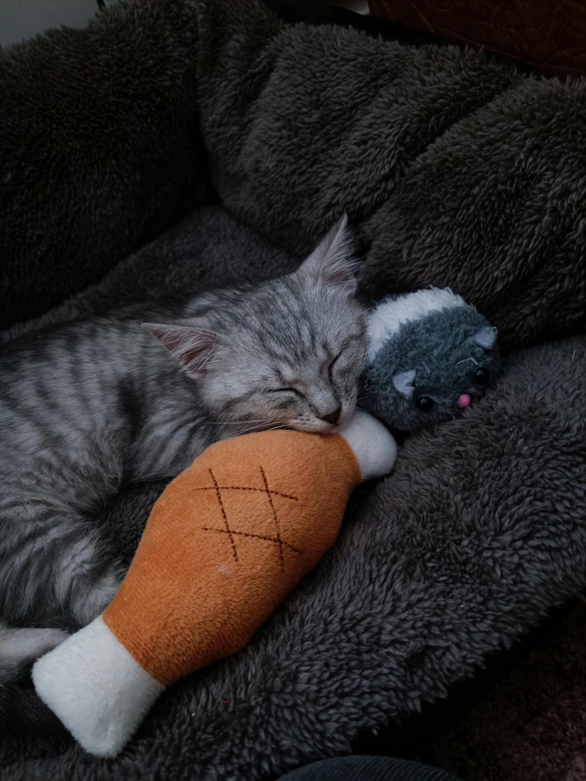 Opt for wood, bamboo or fabric materials for cat beds to complement their natural energy (Photo: Pexels)