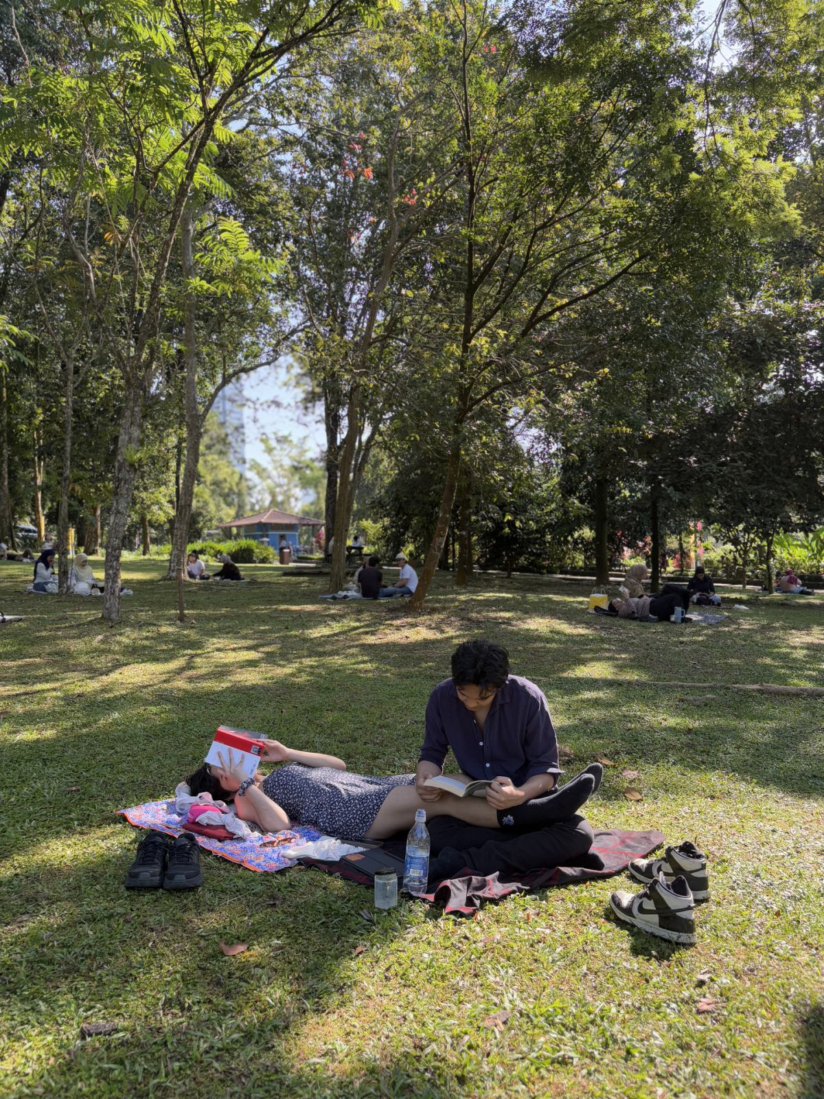 Public parks are a no-cost third place, open to all who seek stillness