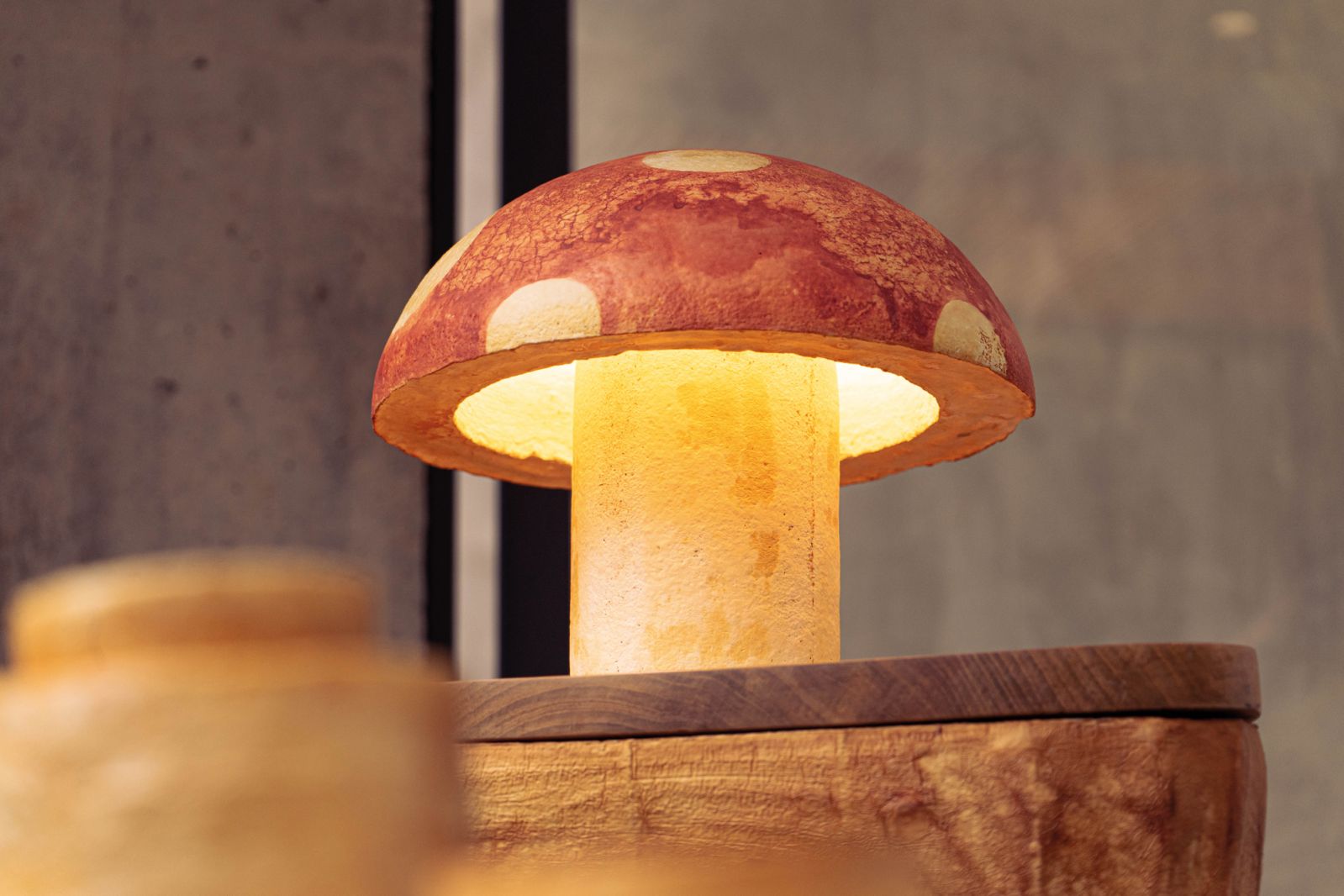 The charming Mycolight by Mycotech Lab