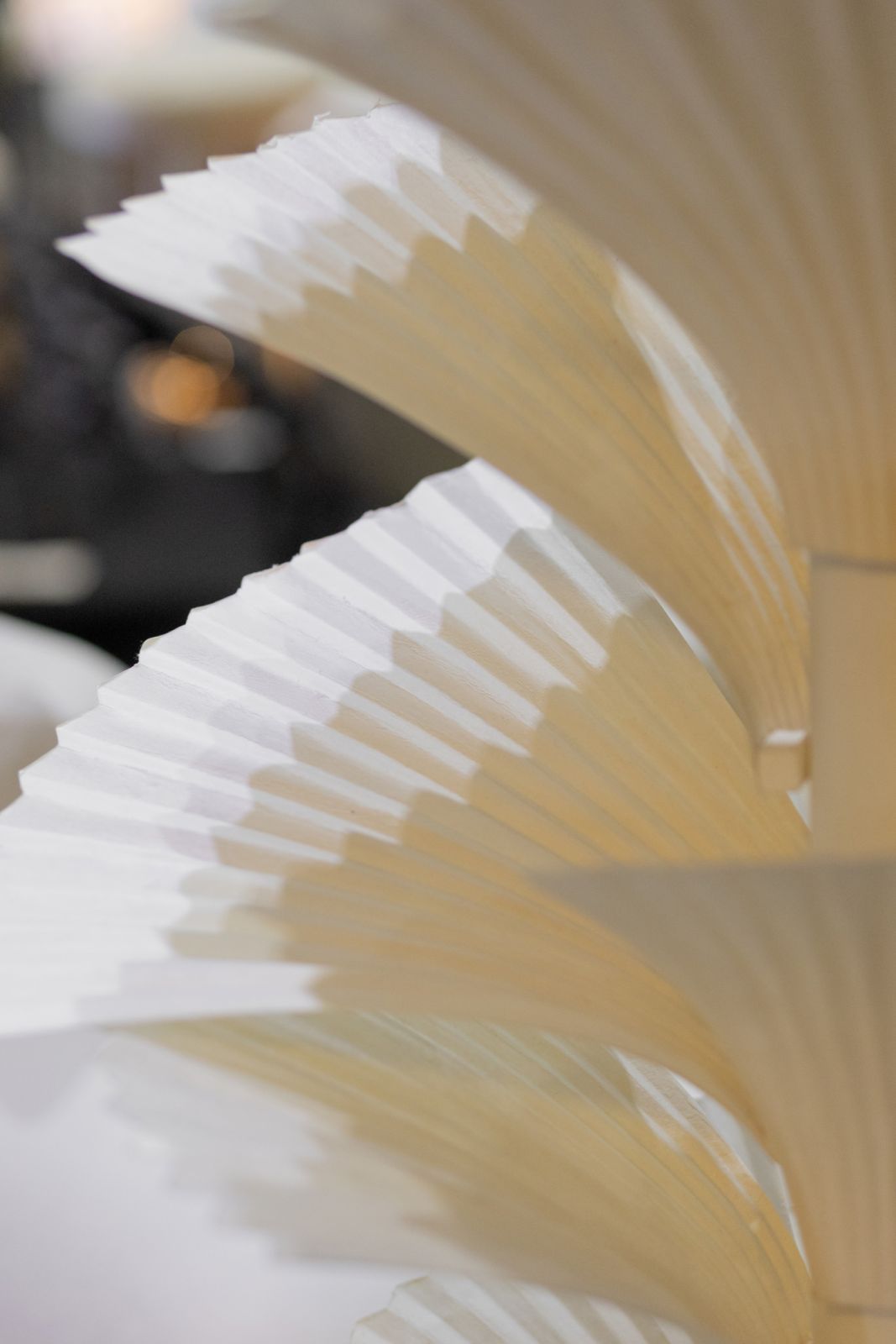 An installation for Masaeco by Wataru Sakuma