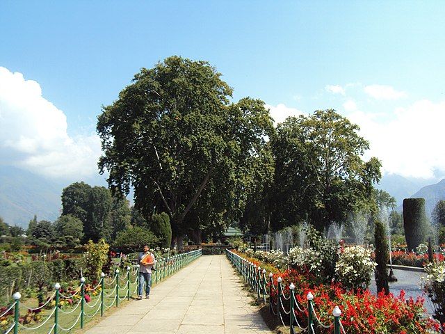Shalimar Bagh, Srinagar, India