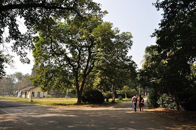 Acharya Jagadish Chandra Bose Indian Botanical Garden, Kolkata, India