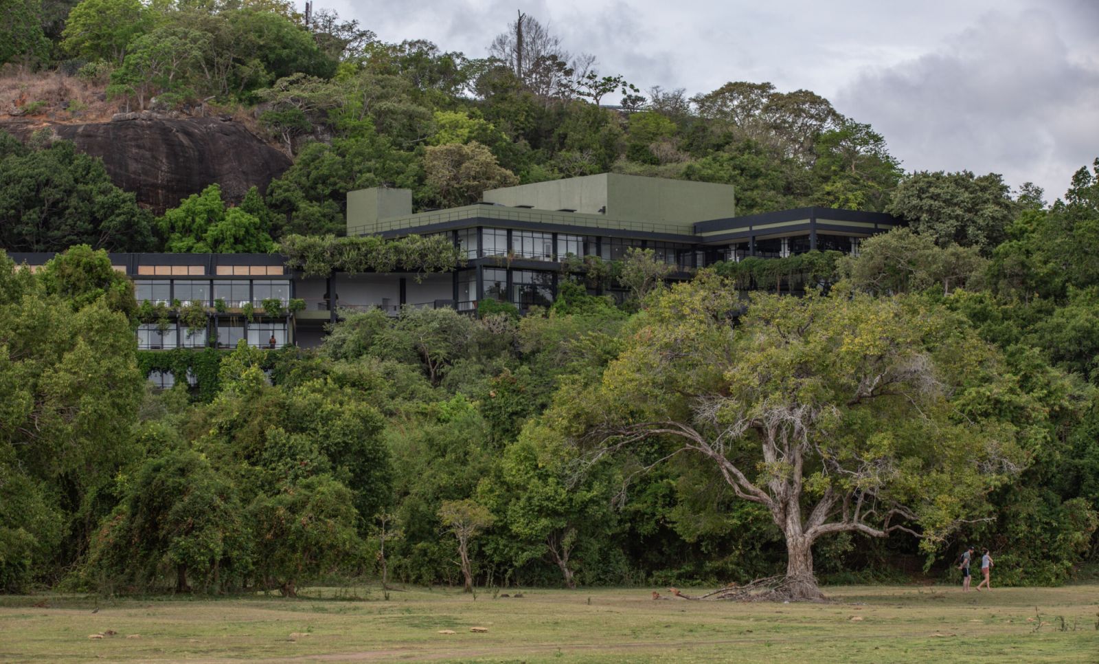 Exterior view of Heritance Kandalama revealing Bawa’s mid-century approach to tropical modernism, with horizontal planes and extensive glazing that allow the structure to harmonise with its lush forest setting  (Photo: Heritance Kandalama)