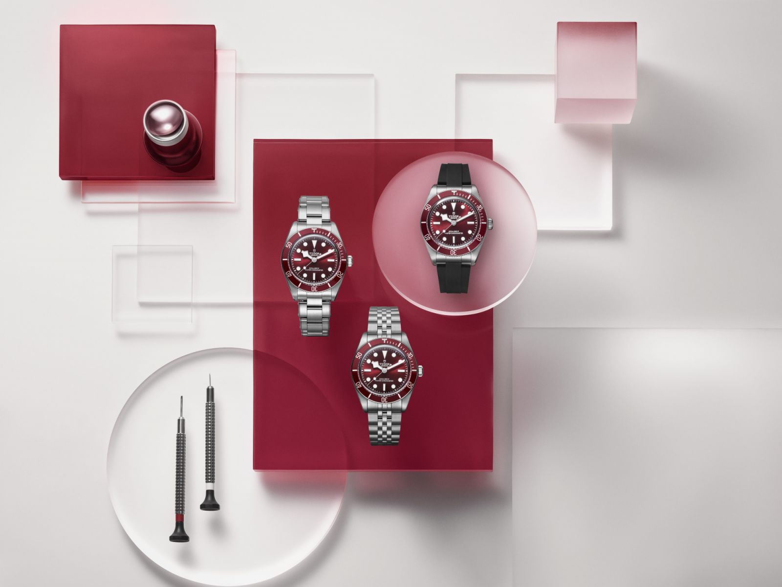 Tudor Black Bay Burgundy