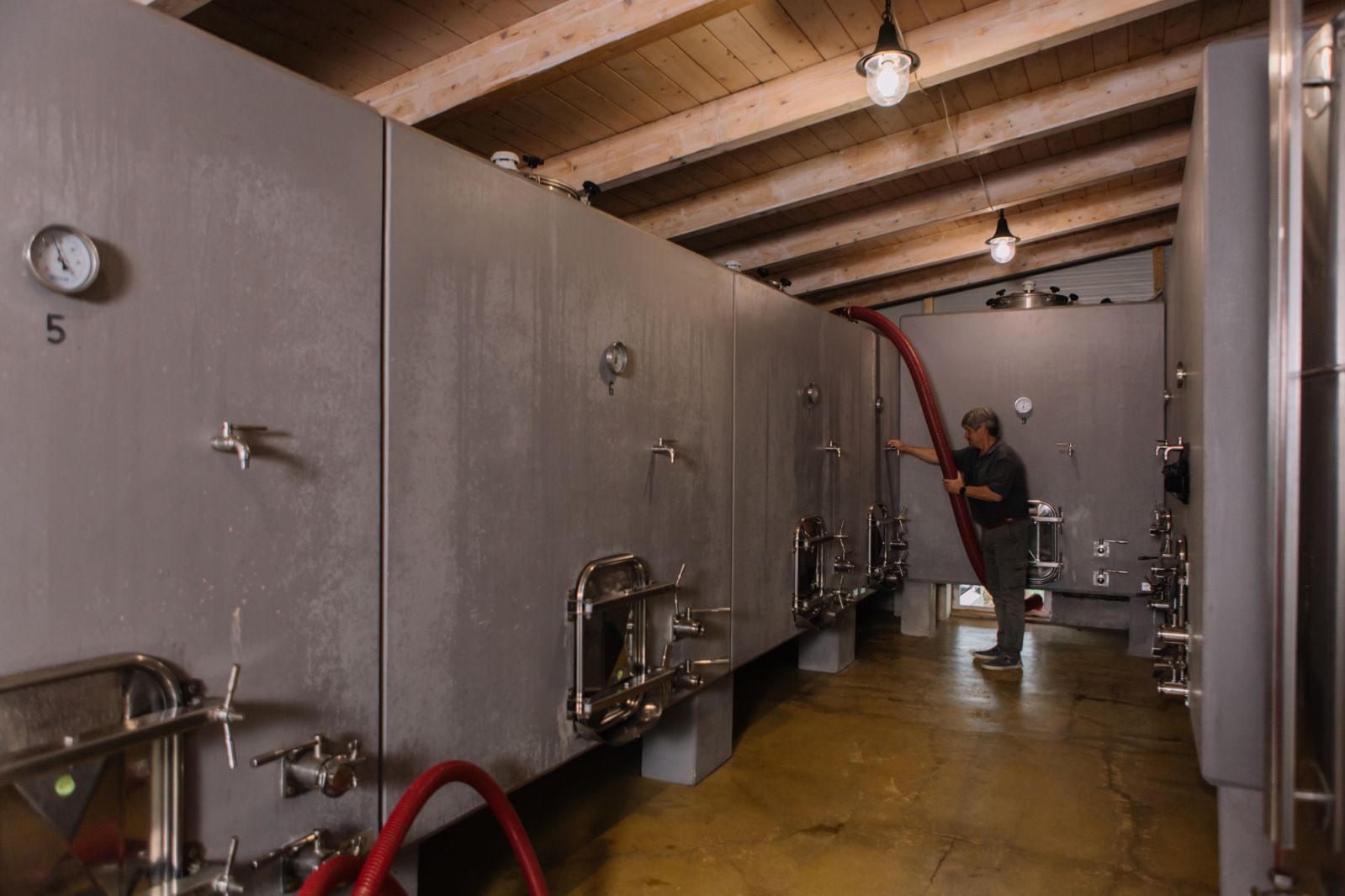 Inside the production rooms of the winery, where the magic happens