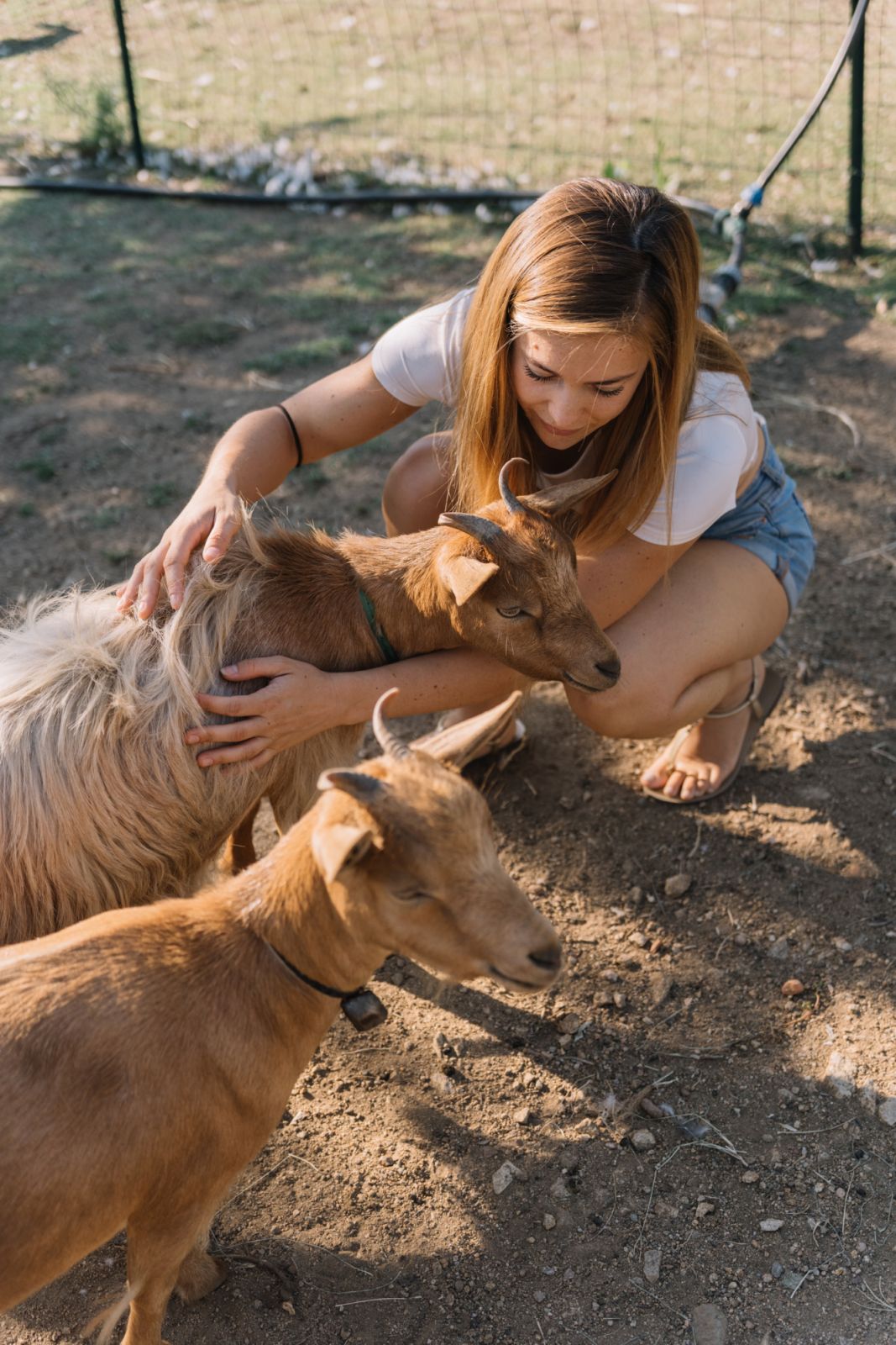 Arianna with the playful goats
