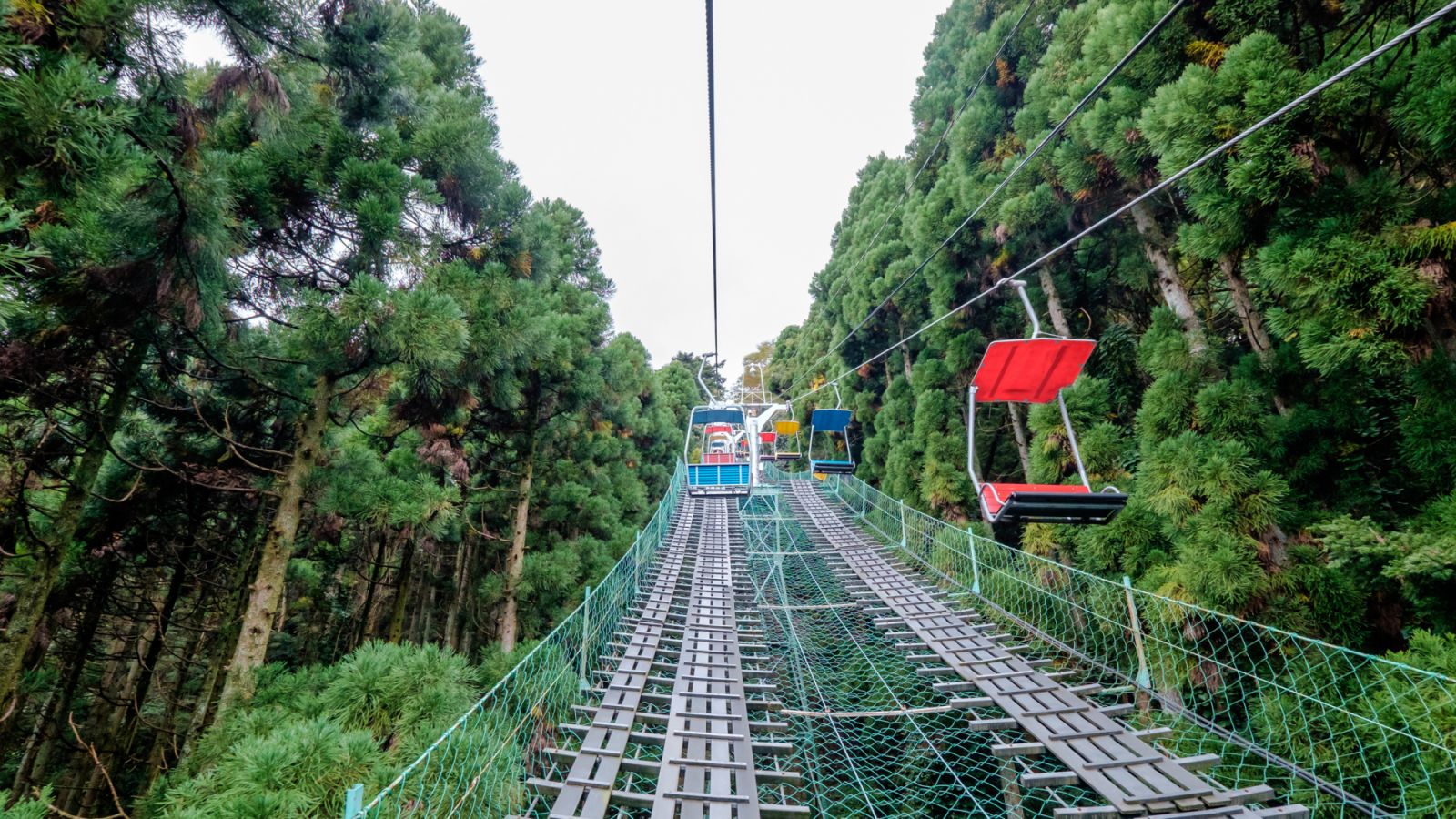 Going on a chair lift up towards Mount. Takao with flanked by tall green pine trees