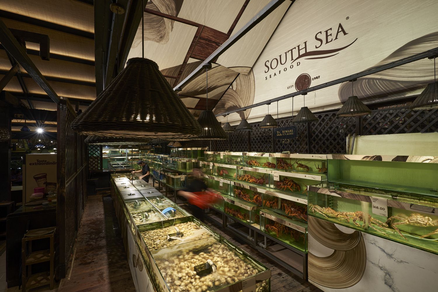 An array of live seafood (Image: South Sea)