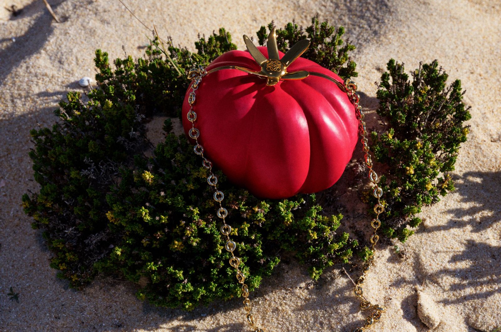 Photo: Loewe