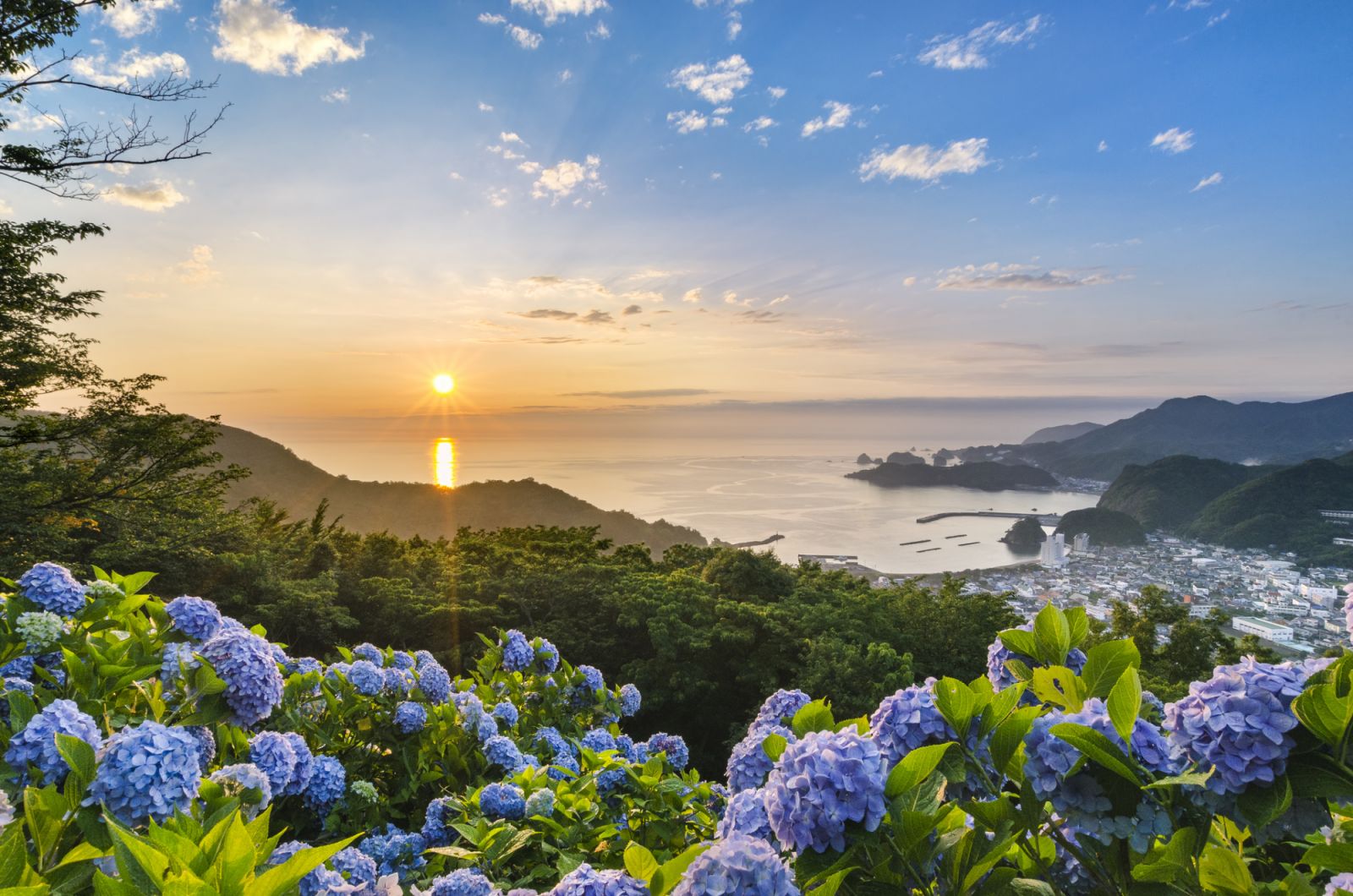 Izu