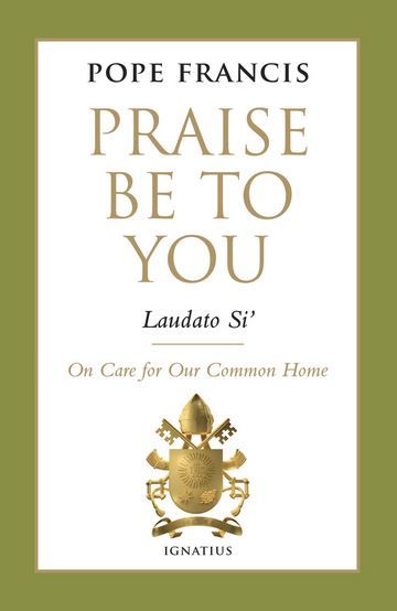 Laudato si’ cover (Photo: Courtesy of National Catholic Register)