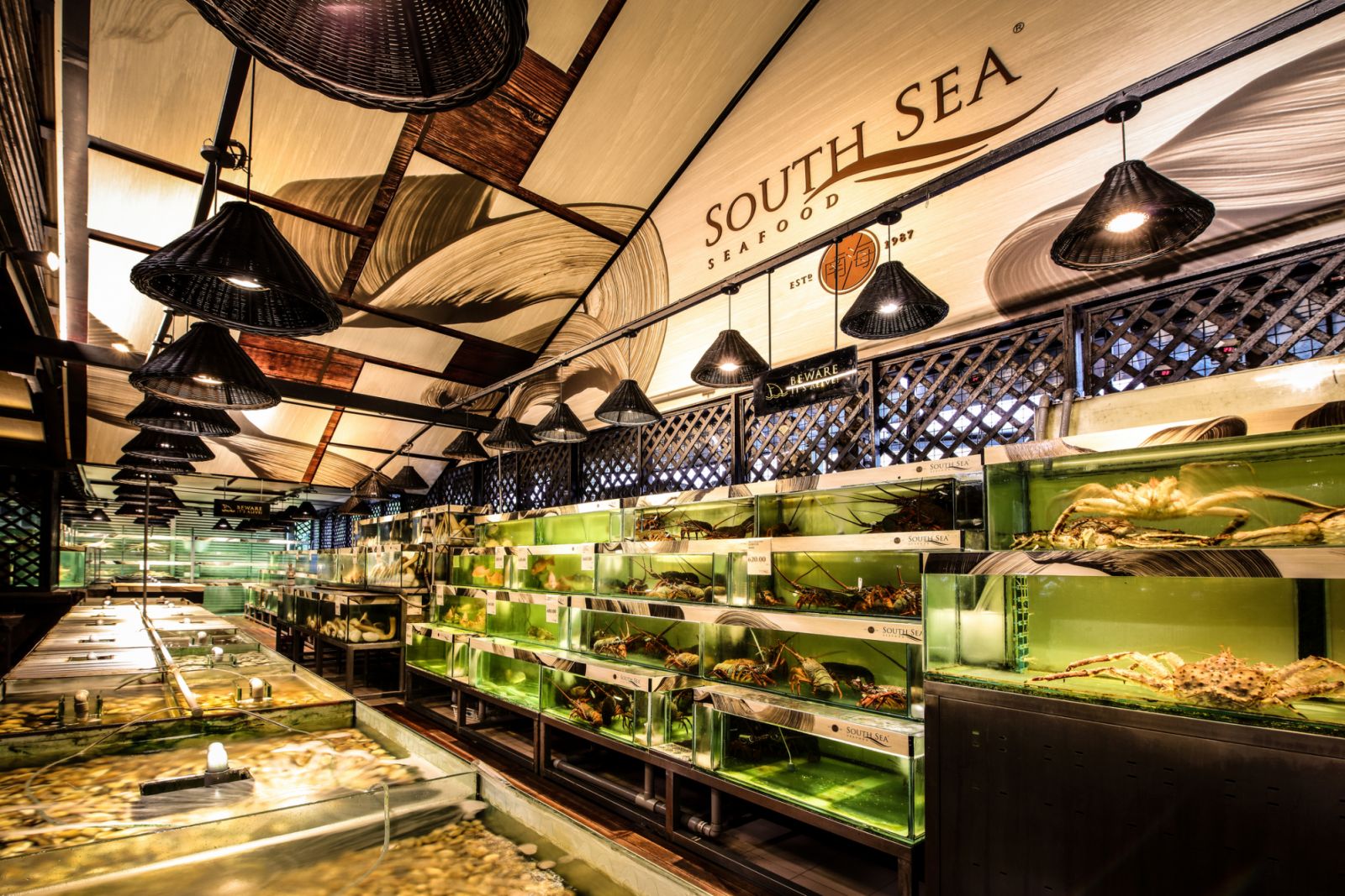 South Sea's state-of-the-art tanks to preserve the quality of their catches (Photo: South Sea Seafood)