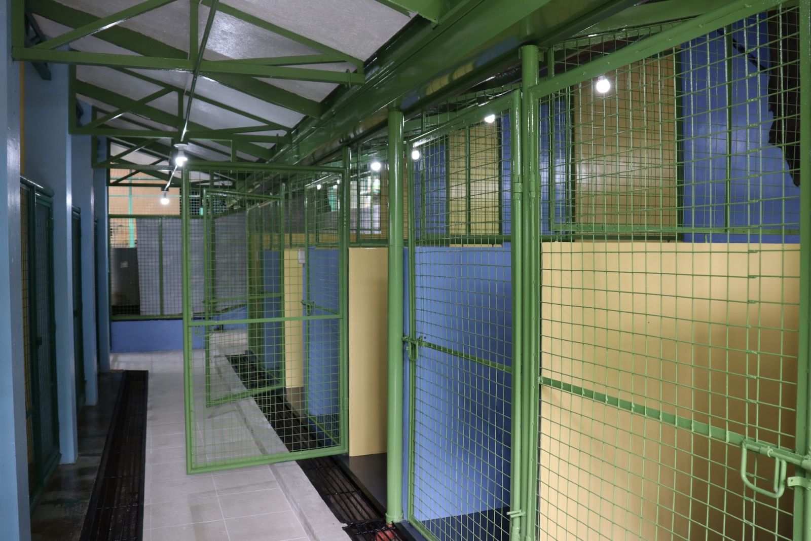 The recovery area of the Philippine Animal Welfare Society (PAWS) Animal Rehabilitation Center