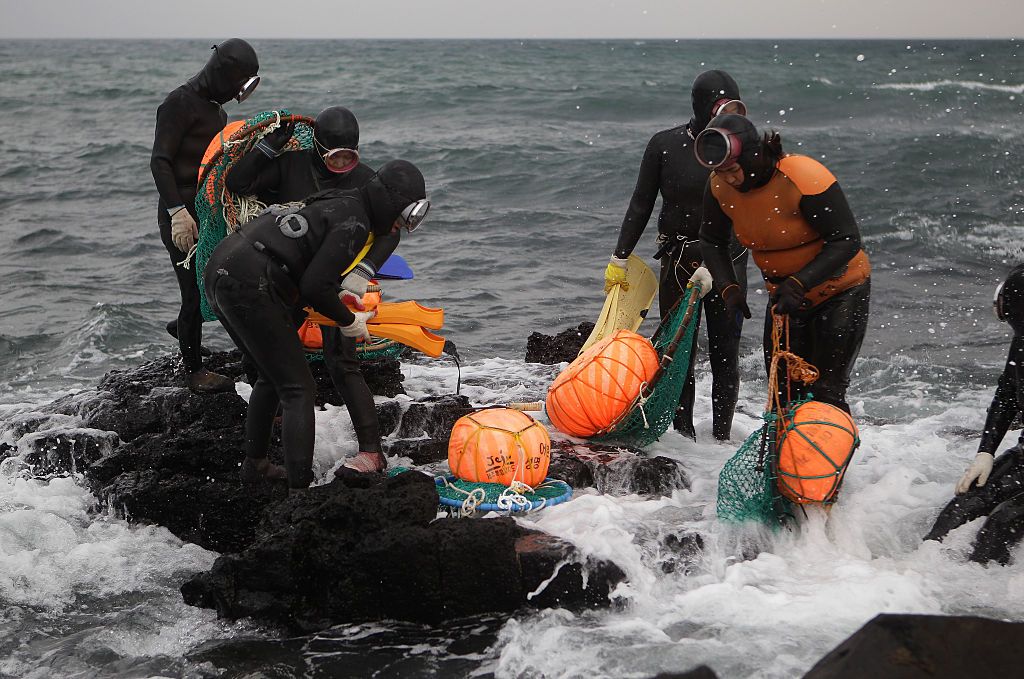 JEJU, SOUTH KOREA - NOVEMBER 06:  South Korean haenyeo prepare for swimming to catch turban shells and abalones on November 6, 2015 in Jeju, South Korea. "Haenyeo," or Sea Women are the female divers in Jeju Island. In 2014, South Korea applied to UNESCO to add the haenyo to its Intangible Cultural Heritage List, and it has been under examination by the committee.  (Photo by Chung Sung-Jun/Getty Images)