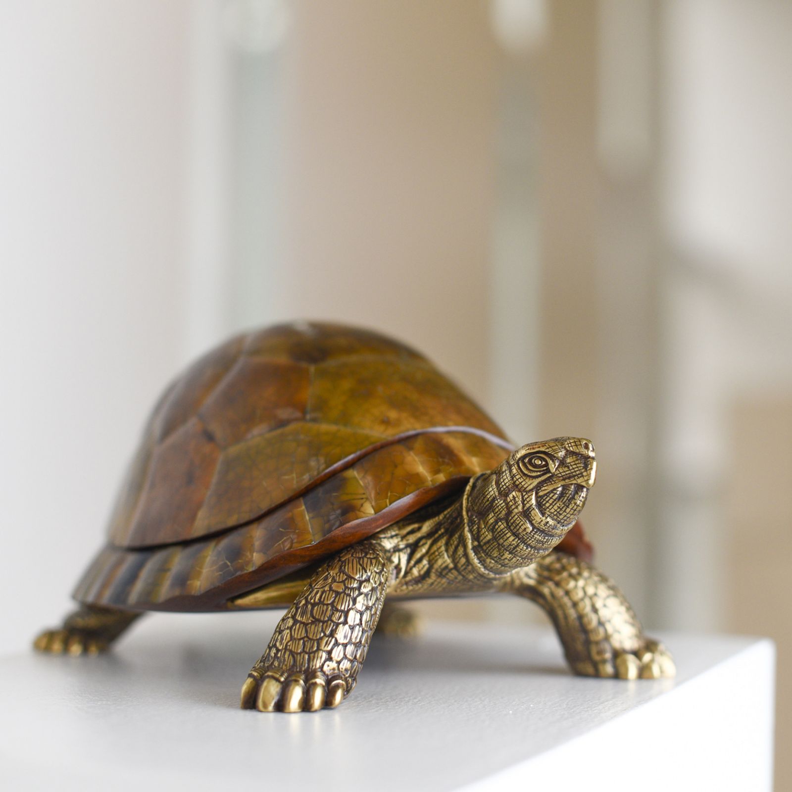 Sulcata Turtle in Tiger Penn Shell by Neil Felipp for your home interior