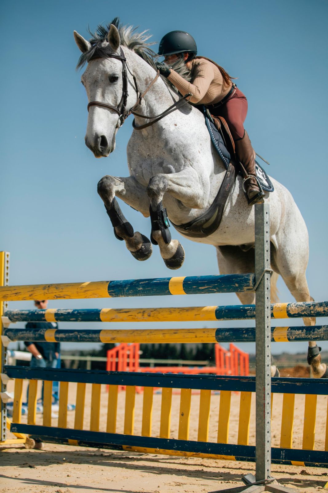 Show jumping