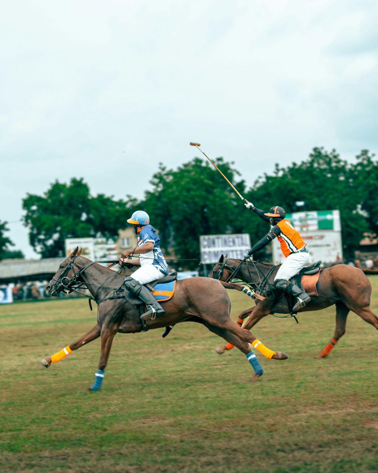 Polo