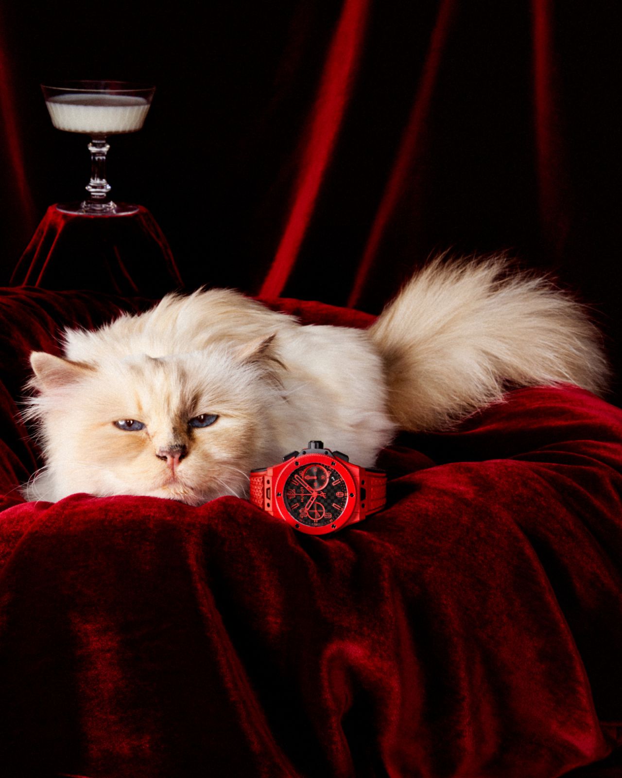 Choupette in Hublot Big Bang campaign