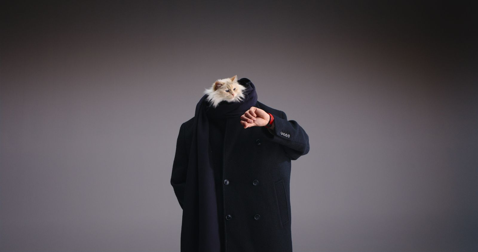 Choupette in Hublot Big Bang campaign
