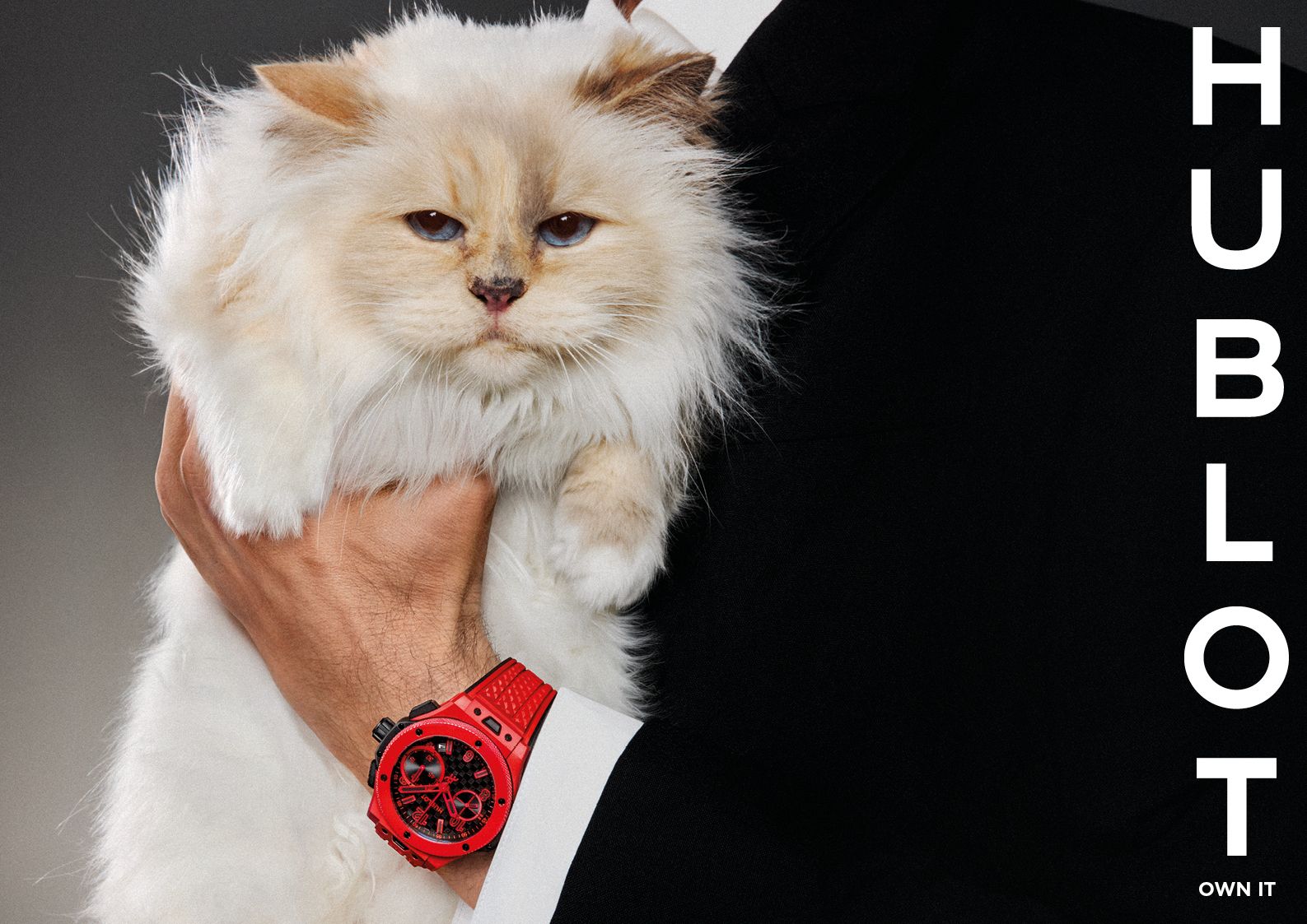 Choupette in Hublot Big Bang campaign