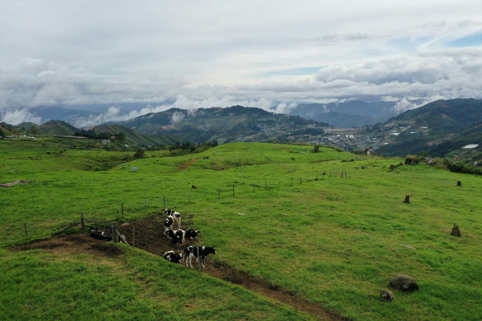 Kundasang in Sabah, Malaysia is sometimes called the "New Zealand of Borneo" (Photo: Pexels/Bearmax)