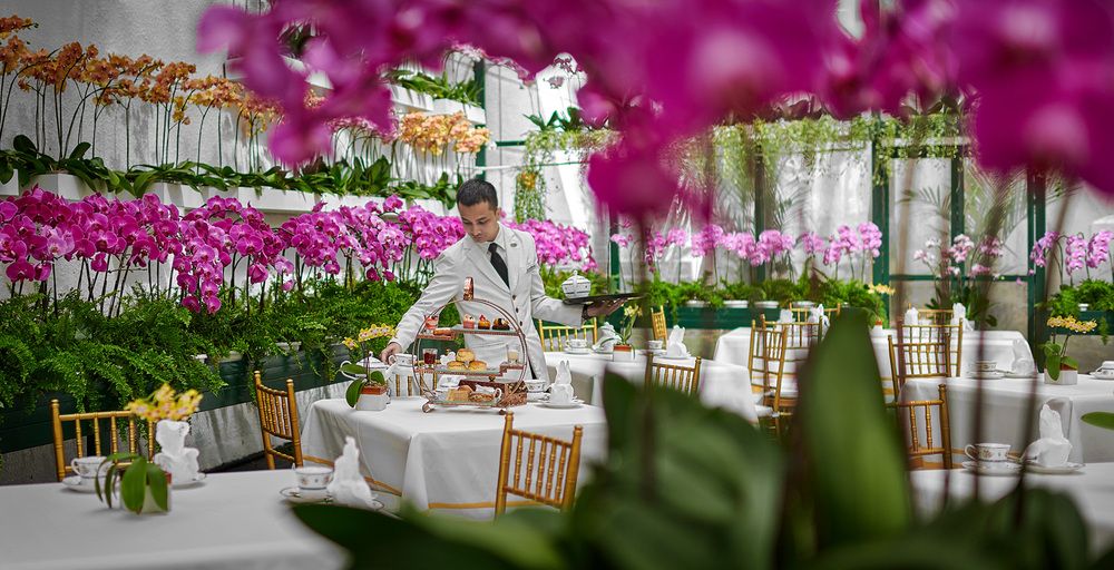 Orchid observatory at The Majesic Hotel (Photo: The Majestic Hotel)