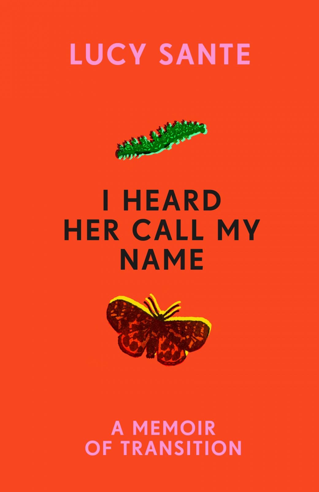“I Heard Her Call My Name: A Memoir of Transition” by Lucy Sante (Finalist of the Pulitzer Prize in the Memoir/Autobiography Category) (Photo: Goodreads)