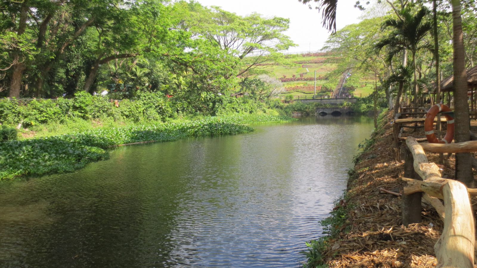 A pond at the La Mesa Eco Park (Photo: Wikimedia Commons/Andrew Martin)
