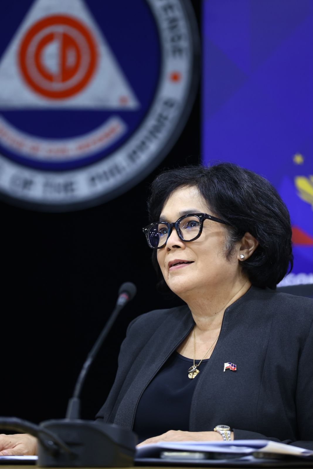 Department of Environment and Natural Resources Secretary Toni Loyzaga