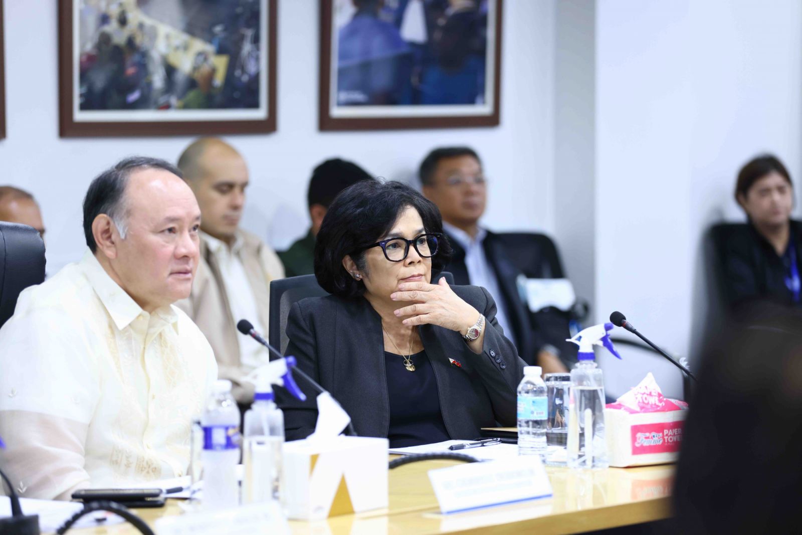 Department of Environment and Natural Resources Secretary Toni Loyzaga