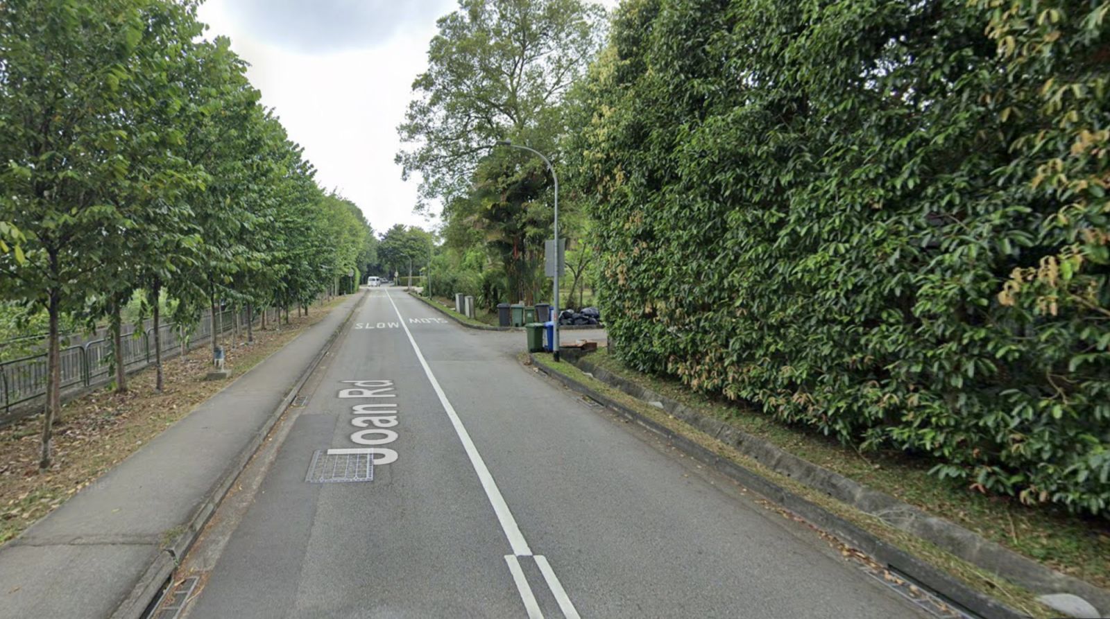 Verdant and quiet, Joan Road is an attractive area for affluent residents