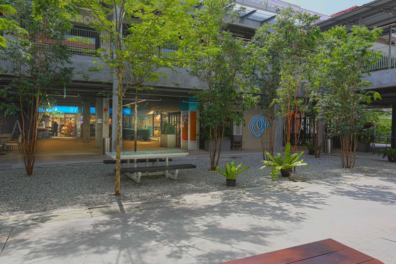 Greenery softens the school’s concrete legacy and reanimates the site
