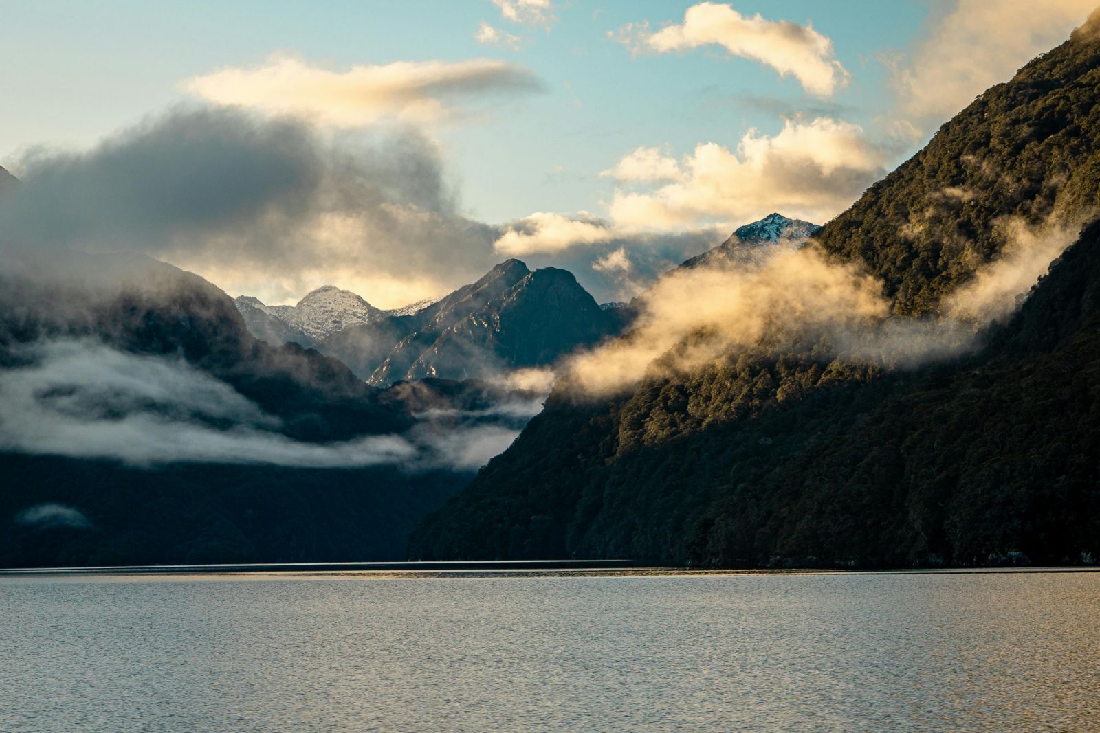 Fiordland