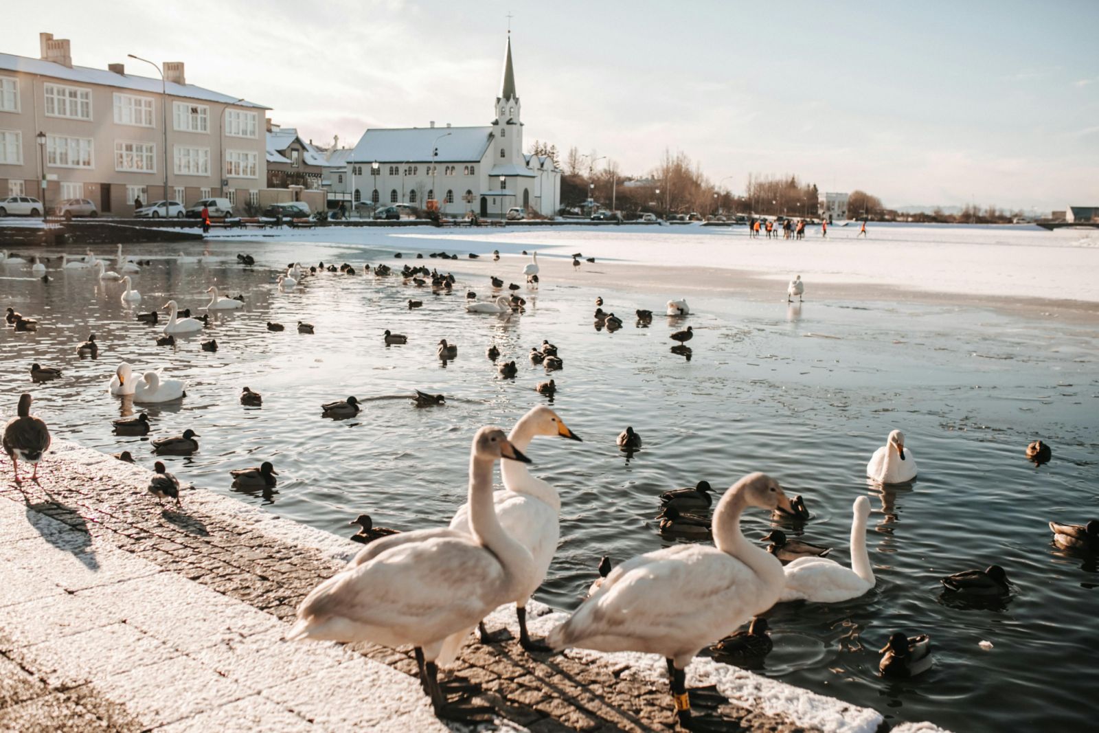 Reykjavik