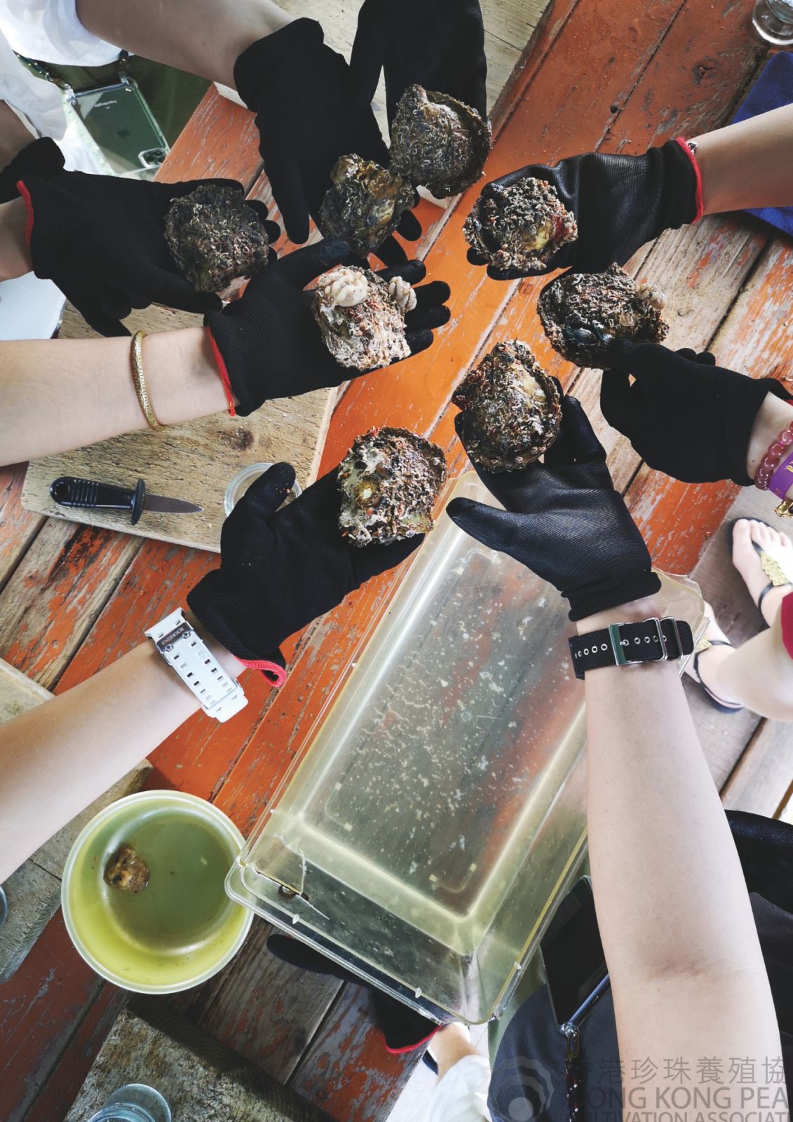 Shucking oysters at the Hong Kong Pearl Farm with L’École Asia Pacific School of Jewelry Arts (Photo: courtesy of David Wong)