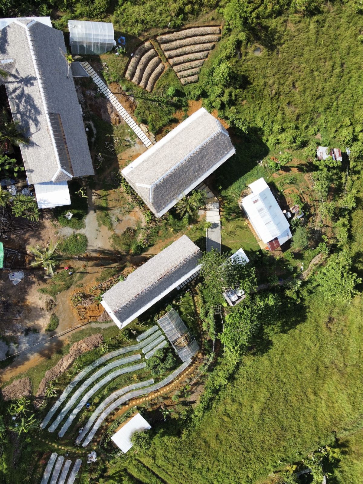 An aerial view of Lokal Lab in Siargao