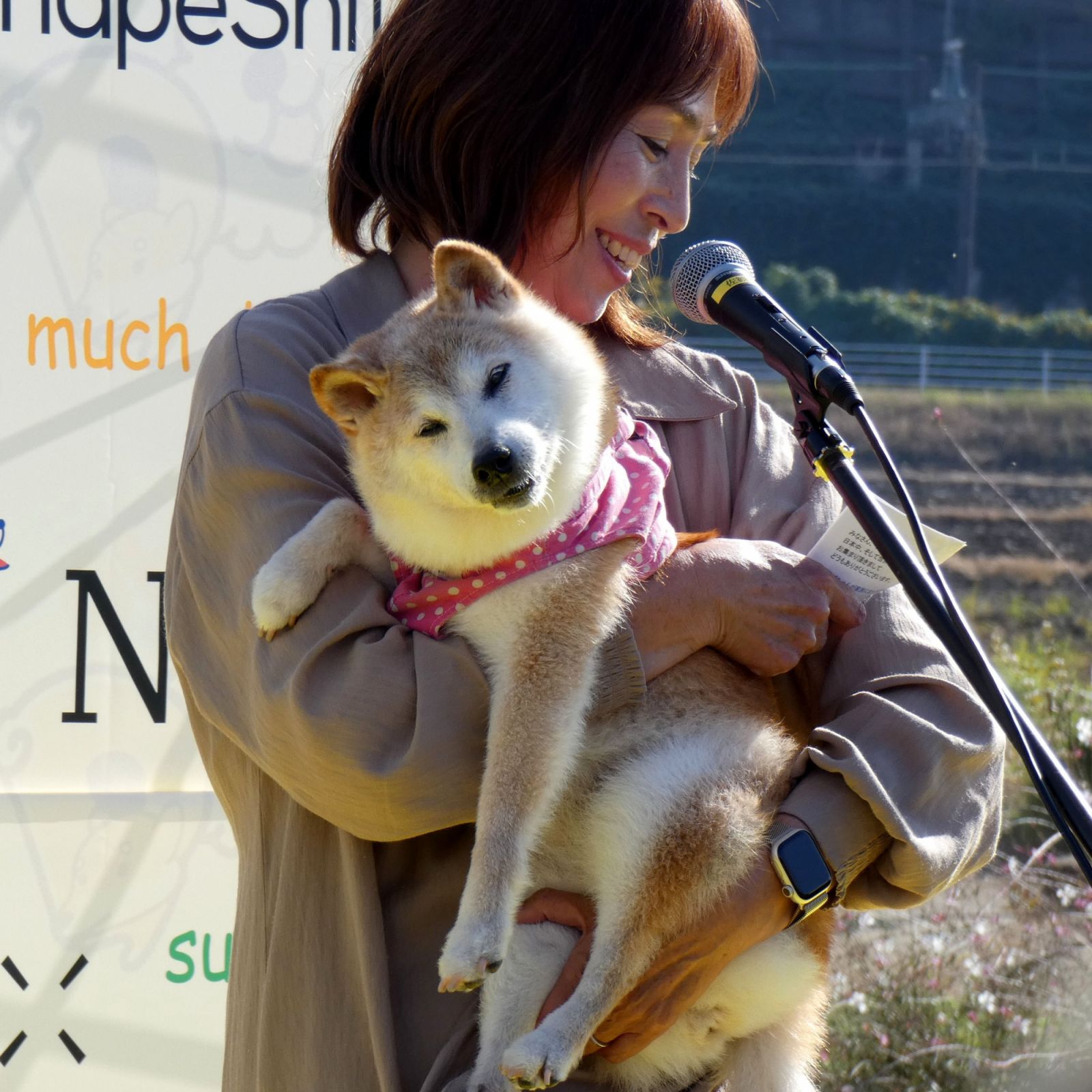 The Doge meme is based on the photo of Kabosu, a Shiba Inu adopted in 2008 by Atsuko Sato, a kindergarten teacher in Japan (Photo: Wikimedia Commons, Asanagi)