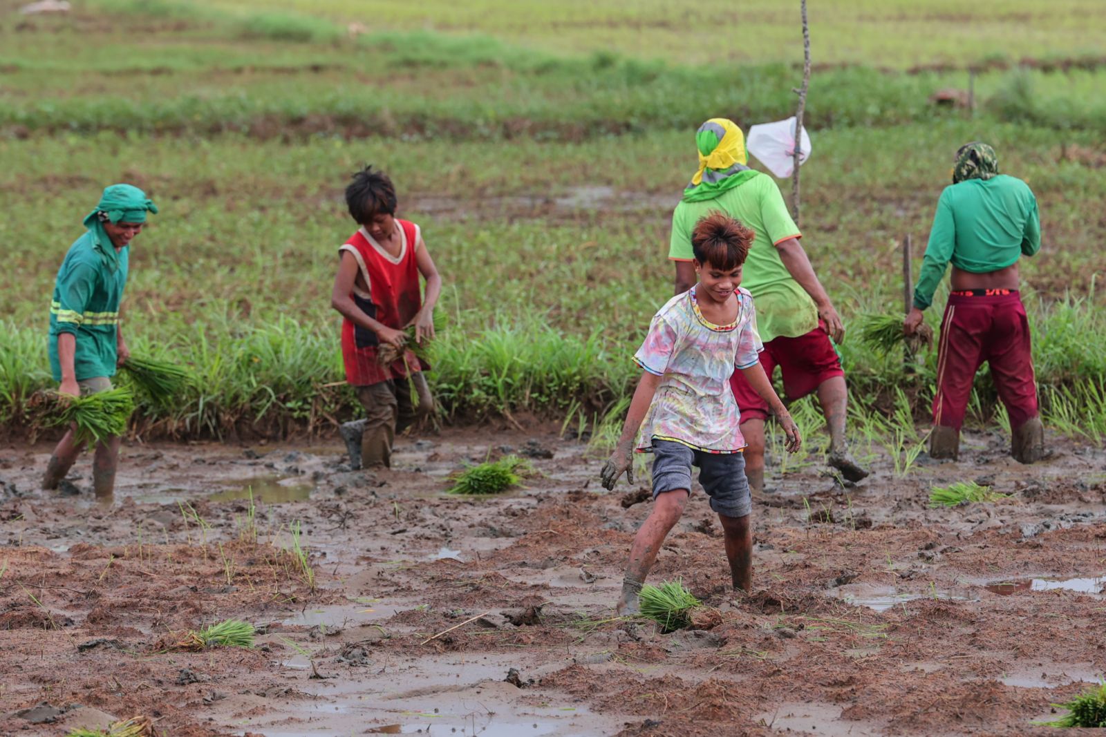 Agrea is tackling farming’s future with systemic changes, digital tools and a belief that the next generation can feed the nation (Photo: Getty)