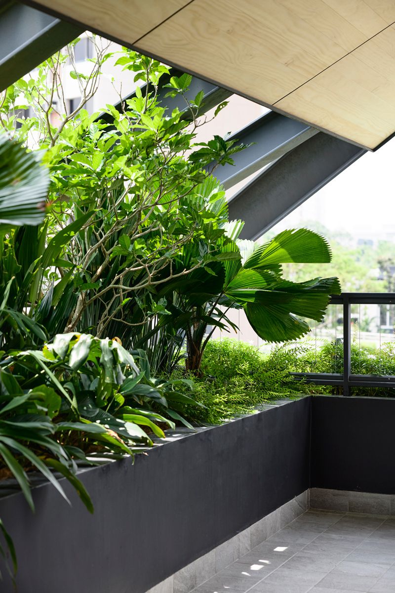 Under the downward sweep of the gabled roof, lush planting fills a terrace pocket