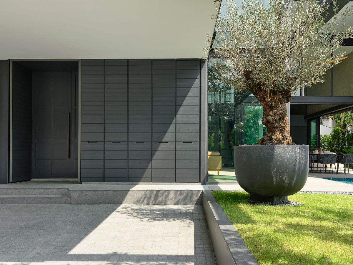 At the entrance, modern Shaker-style panels and a grey palette set the tone, softened by an oversized olive tree in a sculptural planter