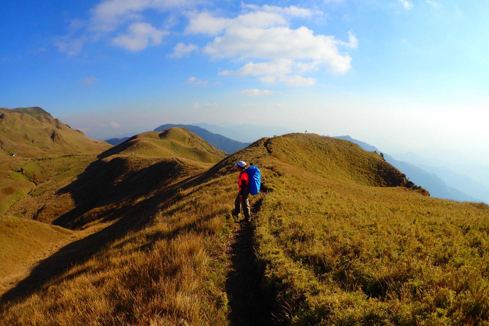 Mount Pulag's grassy trail (Photo: Wikimedia Commons/Hcmnavarramd)