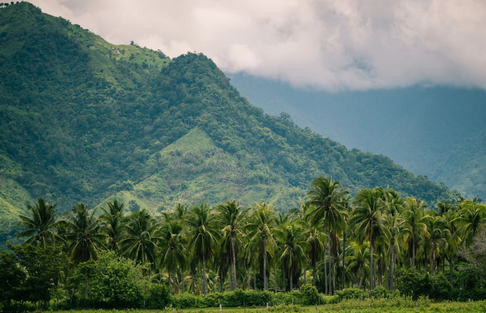 The side of Mount Mantalingahan (Photo: USAID Protect Wildlife)