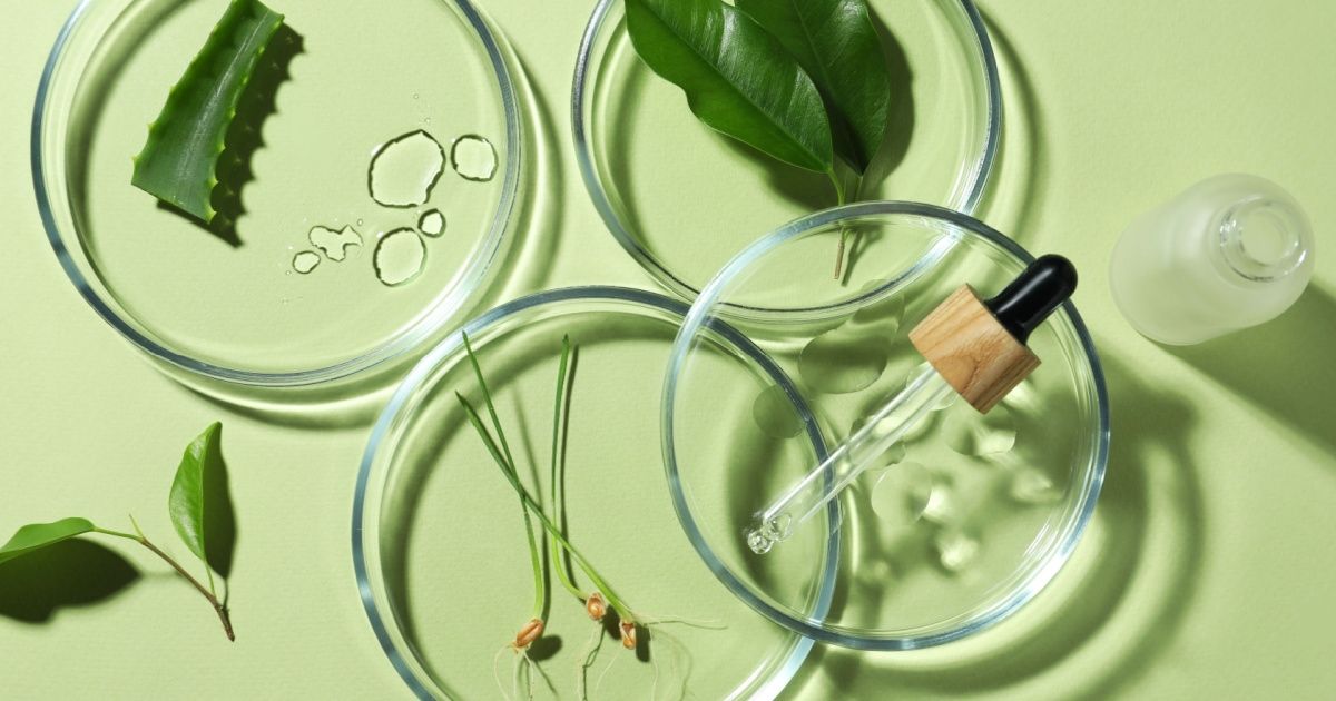 Giбєјi Mгј Xu Hж б Ng вђњclean Beautyвђќ Hay вђњmб Phбє M Sбєўchвђќ Tatler Asia