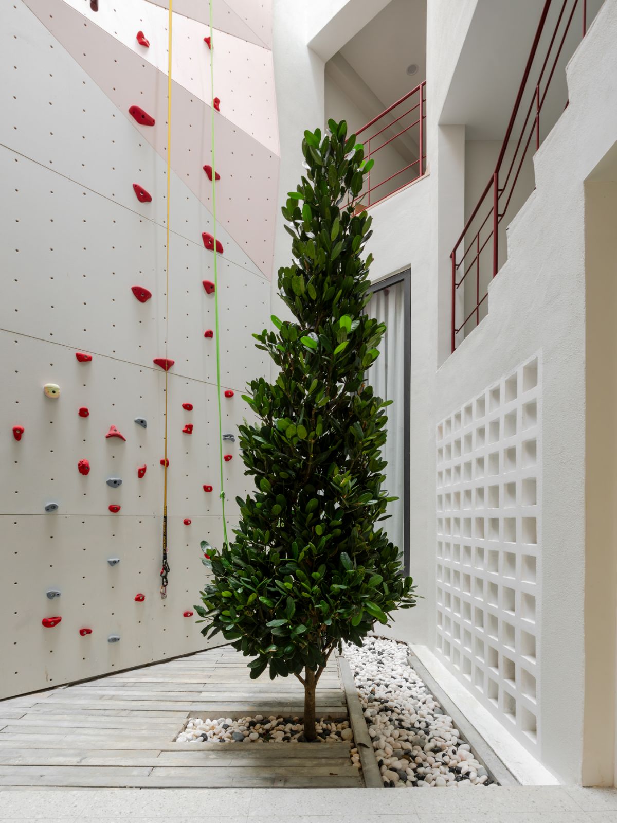 The custom rock-climbing wall with its colourful holds draws attention to the soaring height, while a carefully positioned tree and white pebble landscaping bring natural elements into the interior