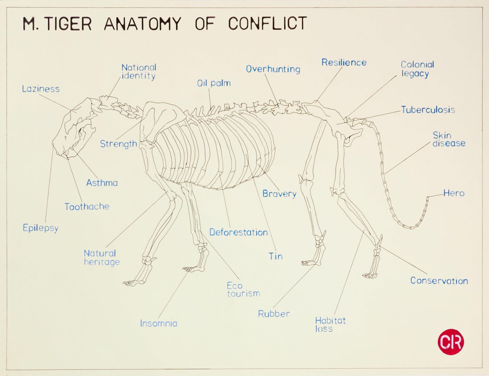 Malayan Tiger Anatomy of Conflict