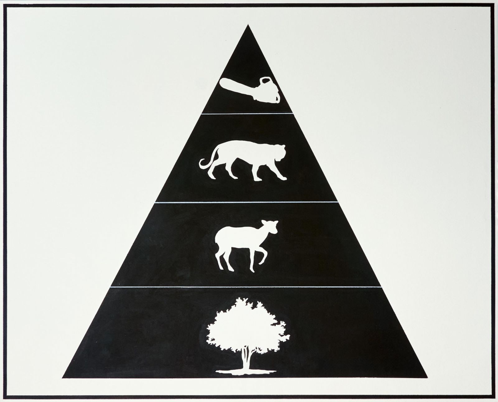 The Heirarchy of Rainforest