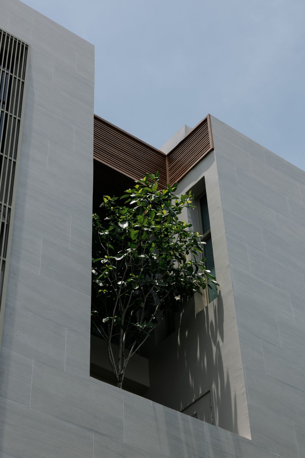 ต้นไม้ที่ปลูกแทรกอยู่ระหว่างตัวบ้านของโครงการ IRA Residences เพื่อสร้างบรรยากาศที่ร่มรื่นและใกล้ชิดกับธรรมชาติในทุกพื้นที่การอยู่อาศัย (ภาพ: NYE Estate)