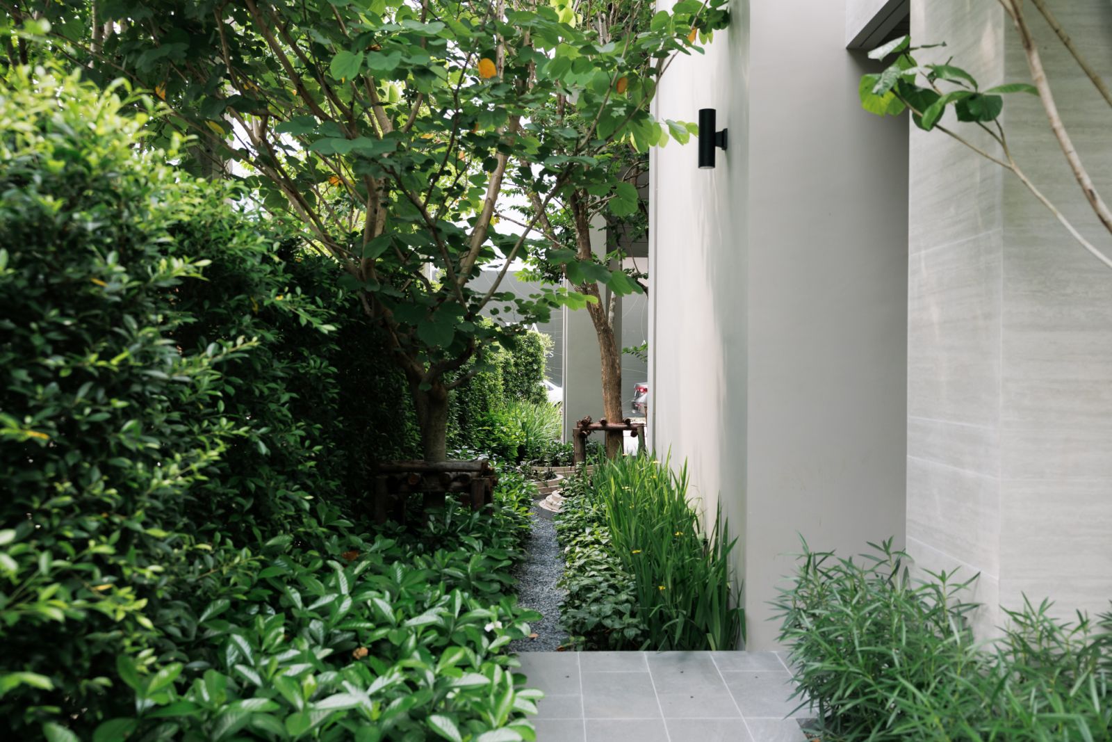 พื้นที่สีเขียวในโครงการ IRA Residences ที่ถูกออกแบบมาเพื่อไลฟ์สไตล์ที่ยั่งยืน (ภาพ: Tatler)