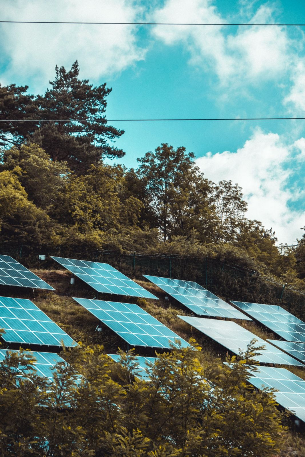 Solar panels provide reliable, renewable energy (Photo: Unsplash)